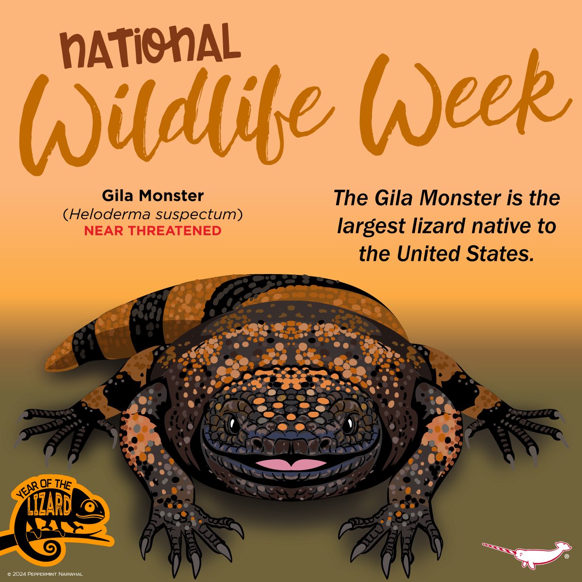 #NationalWildlifeWeek #GilaMonster #AmericanAnimal #EnamelPins peppermintnarwhal.com/s/search?q=nor… Shop #PeppermintNarwhal: peppermintnarwhal.com #NationalWildlife #Heloderma #AmericanWildlifeWeek #AmericanWildlife #YearOfTheLizard #YOTL