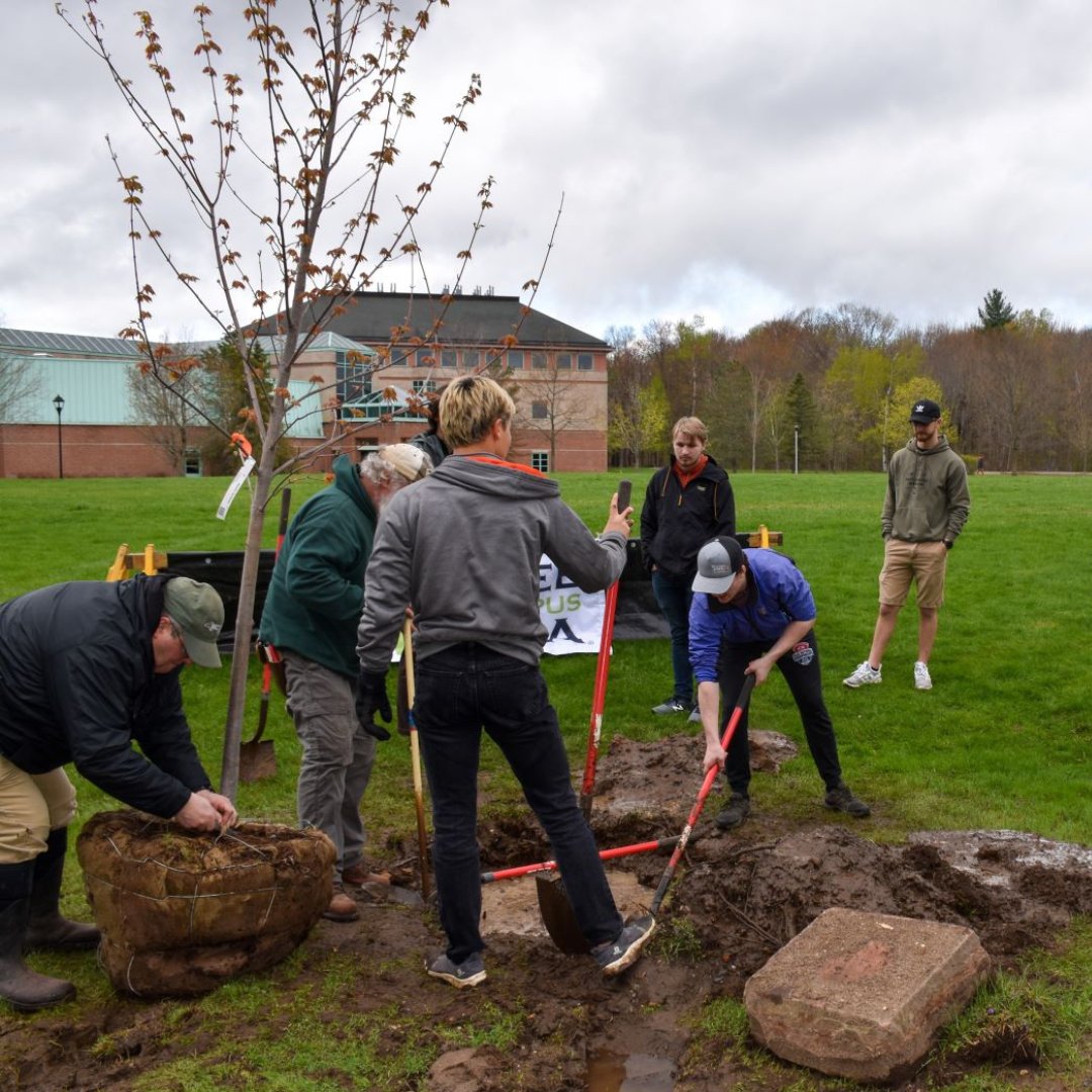 Two more weeks until Clubs and Organizations Giving Day! Help SUSTAIN our clubs & orgs by planting your seed of support in advance at clarkson.edu/clubsorgs and help our students continue to pursue their out of classroom passions and mind-expanding programs! #MakeADifference