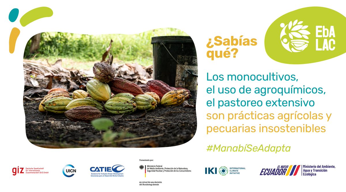 Promovamos la utilización de sistemas productivos sostenibles, que diversifiquen los productos en el territorio y que permitan el cuidado de los recursos naturales que aún tenemos. ✅👏 #ManabíSeAdapta @Ambiente_Ec @CATIEOficial @uicn_conserva @MAATE_Zonal4 @GIZEcuador @gizcr1