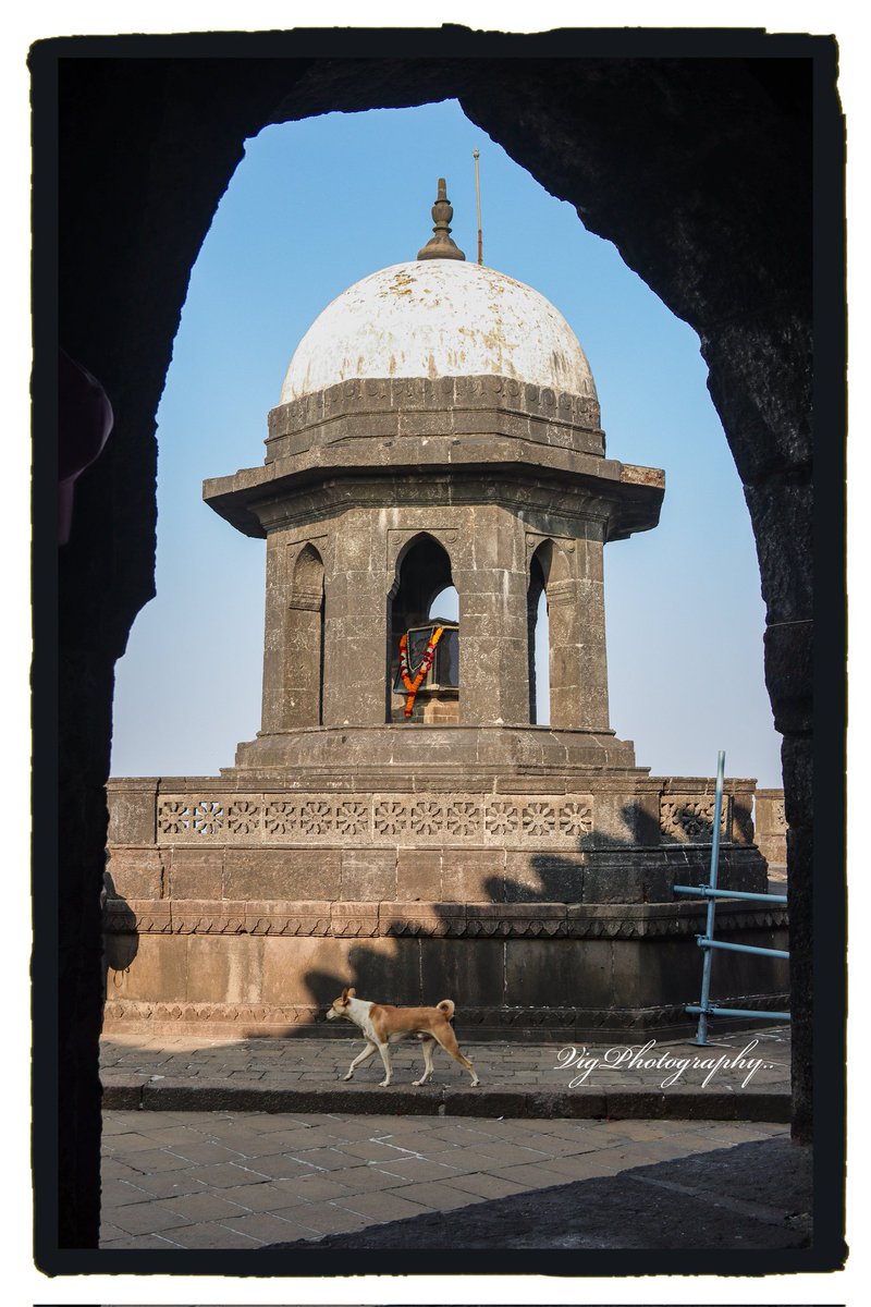 Remembering Chatrapati Shivaji Maharaj..  on his death anniversary.. 
His last resting place at Raigad with his favourite pet animal..👑 🐕
#VigPhotography
#Chatrapati_ShivajiMaharaj #RIP #DeathAnniversary #Shivaji #Raigad #RestingPlace #Remembering #King #Maratha #Hindu #Waghya