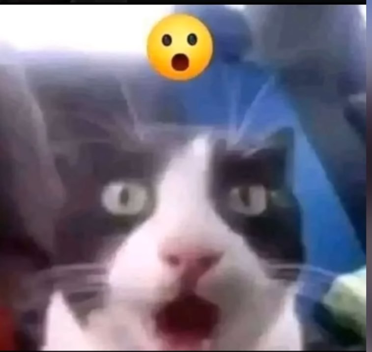 Holy duck I'm getting a album for my birthday