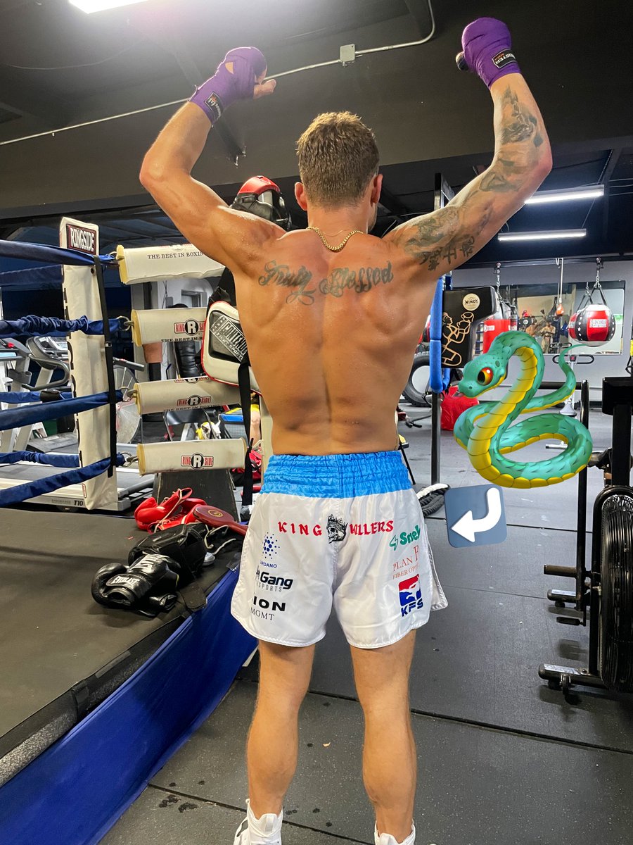 TEAM $SNEK 🐍 
REPPIN THE BEST OF #CARDANO HARD ON FIGHT NIGHT 🔥😤🐍
April 12th We Go to War 😤
#HecktheSnek #TeamSnek #HECKLES