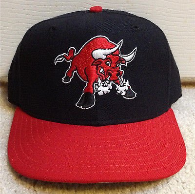 jayj51's tweet photo. @HatClub hey Ben, what are the chances of getting maybe getting one of these Tucson Toros hat in production? Asking for a friend. https://t.co/1WCbgqgkRt
