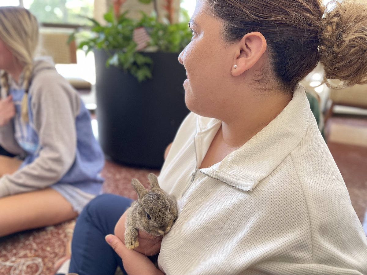 USFSM's tweet photo. Bunnies are hopping into the hearts of our students ๐ฐ๐ #springoncampus #USFGreenWednesday https://t.co/2ZiTMAcxae