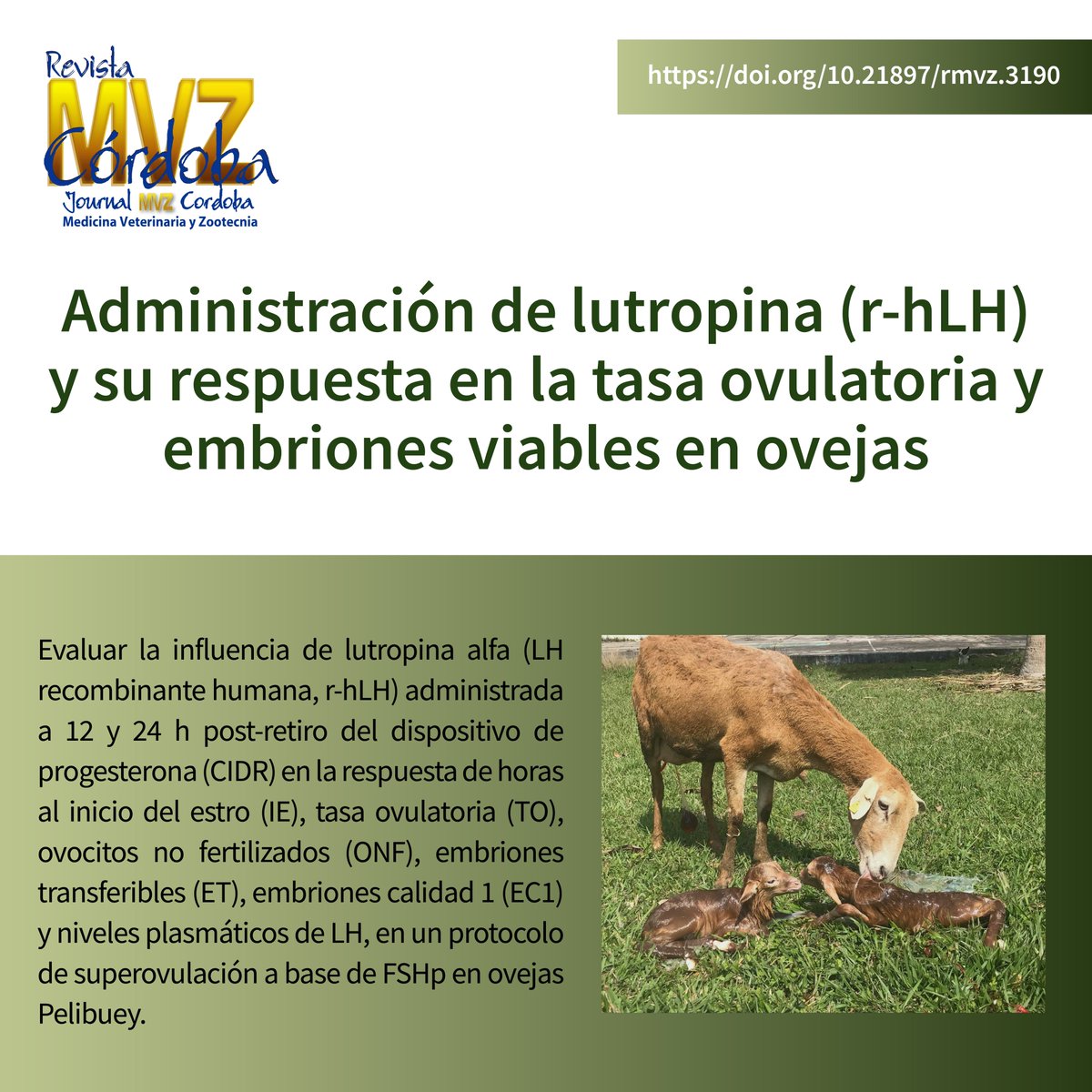 revmvz's tweet photo. https://t.co/MQzIBTdsJI
#CIDR #embrión #estro #LH #superovulación https://t.co/IF7wSVKEei
