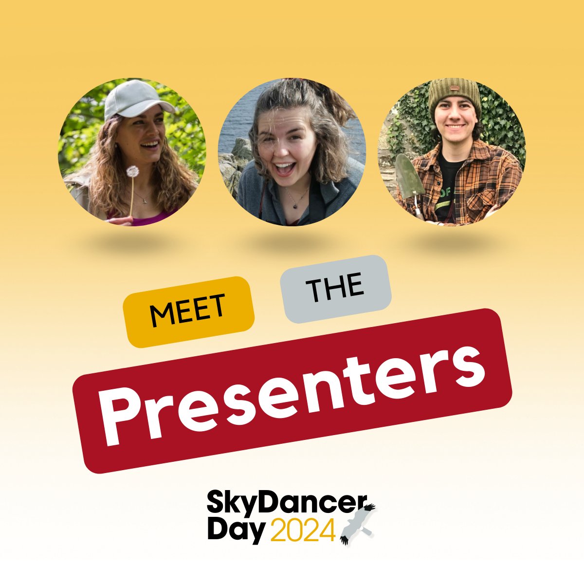 Hen Harrier Action tweet media