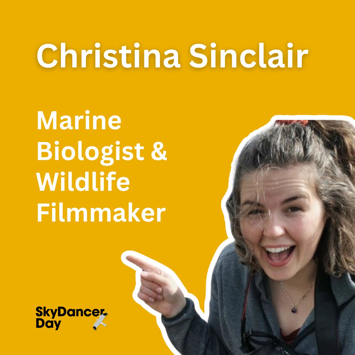 Hen Harrier Action tweet media