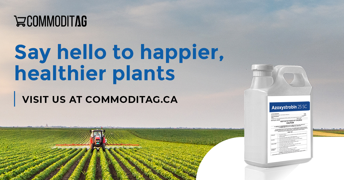 commoditag's tweet photo. Elevate your crop protection game this Spring with Azoxystrobin 25 SC. Say farewell to fungal threats and hello to happier, healthier plants. Don't let fungi wreak havoc—shop now on https://t.co/vbNn45zTMt and cultivate success from the ground up. 
#CropProtection #FungalControl https://t.co/583QXNIEE6