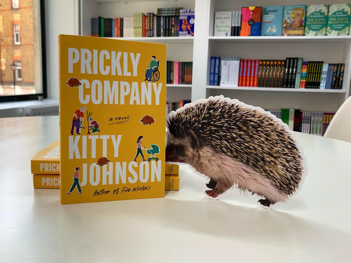 We’ve got some prickly company in the office… 🦔📚 A funny and compassionate tale of friendships, feuds, romance, secrets… and hedgehogs! Prickly Company by the wonderful @kittyjohnsonbks is out 28 May. @AmazonPub