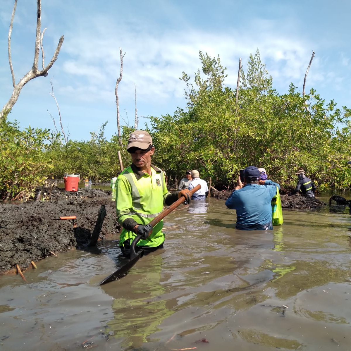 ¡Culminaron las actividades de restauración, rehabilitación y regeneración natural de 30 hectáreas en la CGSM! 🌱 Acciones ejecutadas en el marco del proyecto #HECO: #PaisajesSostenibles, se enfocaron en la rehabilitación hidrológica del Canal Clarín Nuevo. @HeCoColombia