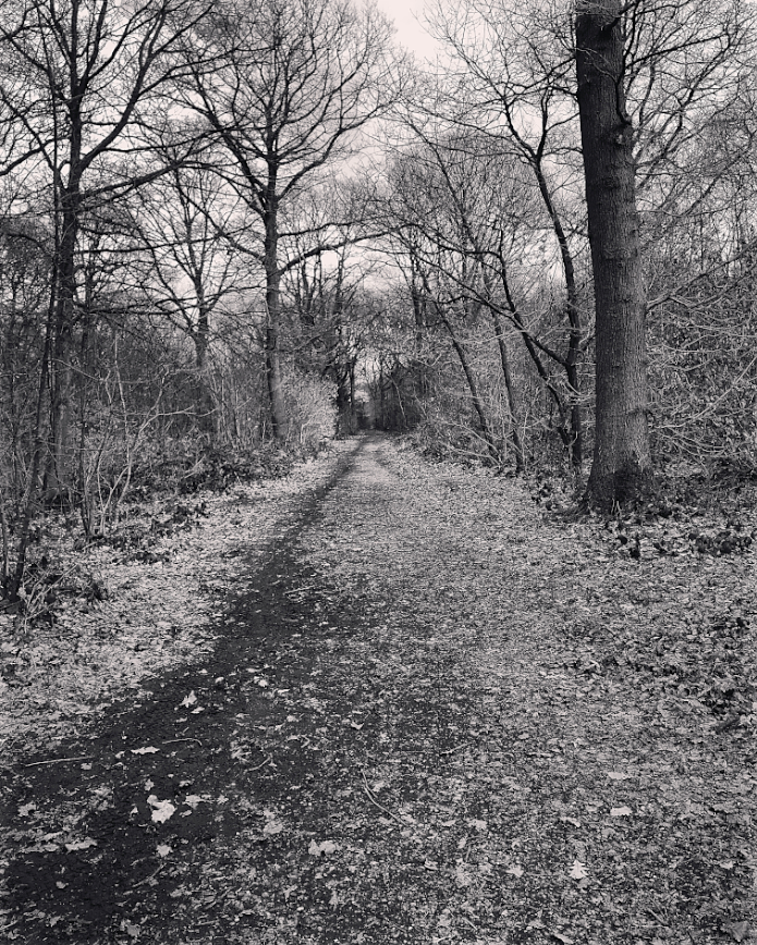 The witch walks the mysteries. The witch navigates by listening to the song of the land, the wooden choir of the wood. She converses with genii locorum and truly knows her place. – #EmilyBanting, 1981 #WitchWednesday