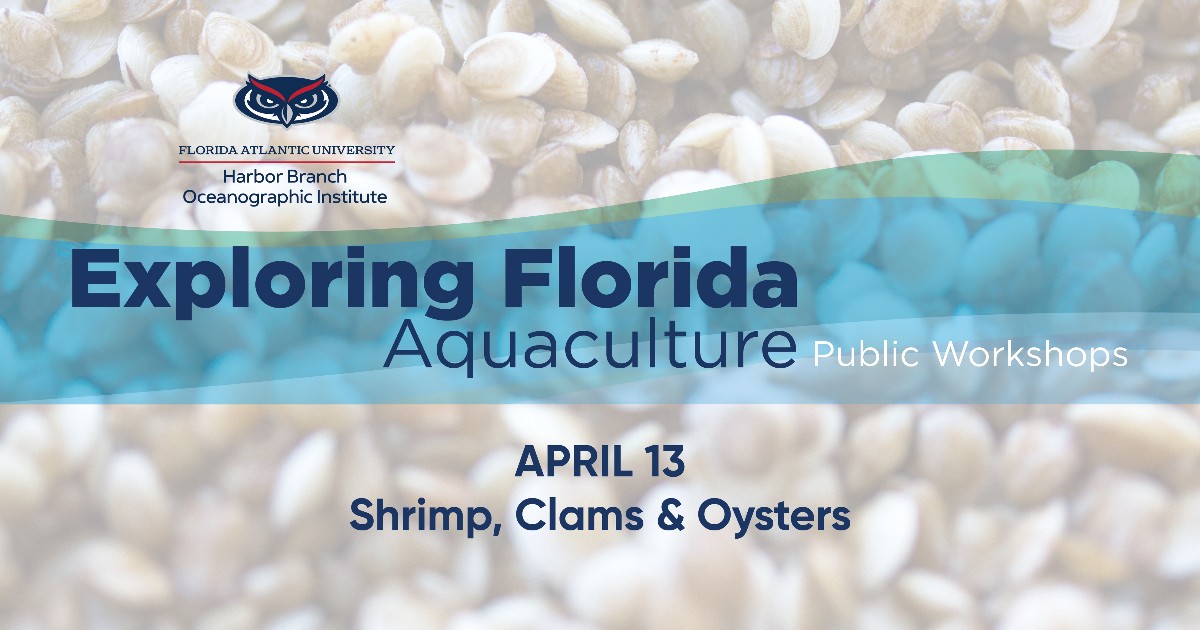 The next Exploring Florida Aquaculture Public Workshop is Saturday, April 13 featuring all things Shrimp, Clams & Oysters 🦐 🐚 9 a.m. to noon. ➡️ Register in advance at bit.ly/484VPJn.