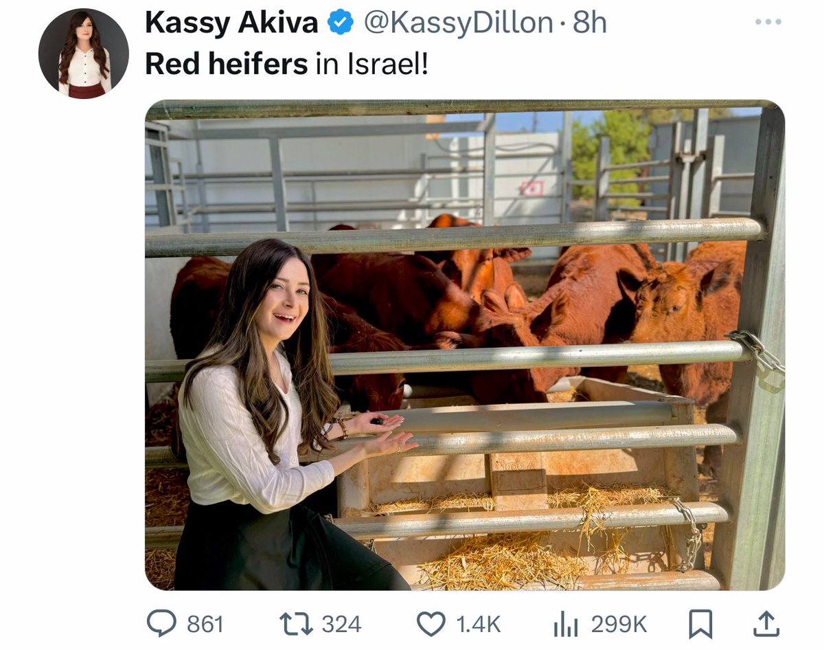 🔥🚨DEVELOPING: Kassy Akiva from the DailyWire posted a photo with the red heifers in Israel. Users on X are alleging that these heifers will be used for Solomon’s third temple ritual.