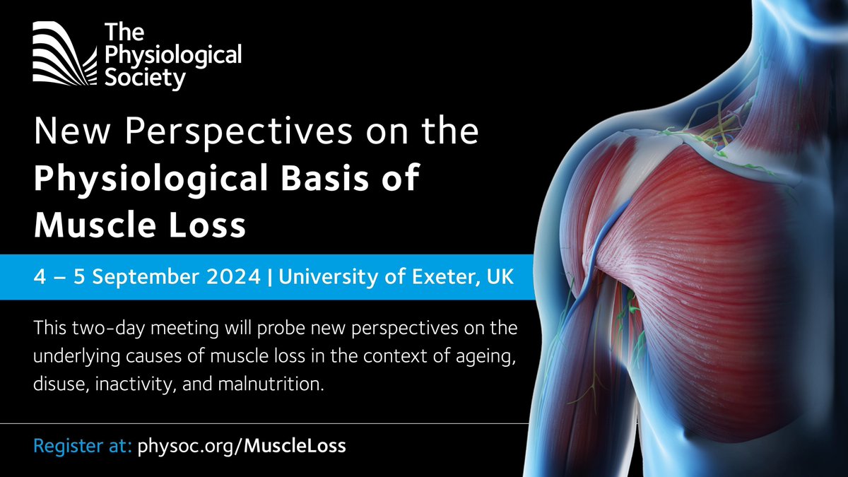 Register for the New Perspective on the Physiological Basis of #MuscleLoss meeting taking place on 4–5 Sept @UniofExeter. This meeting will explore new perspectives on muscle loss due to #ageing, disuse, inactivity, & #malnutrition. Find out more: buff.ly/4cJqvU8