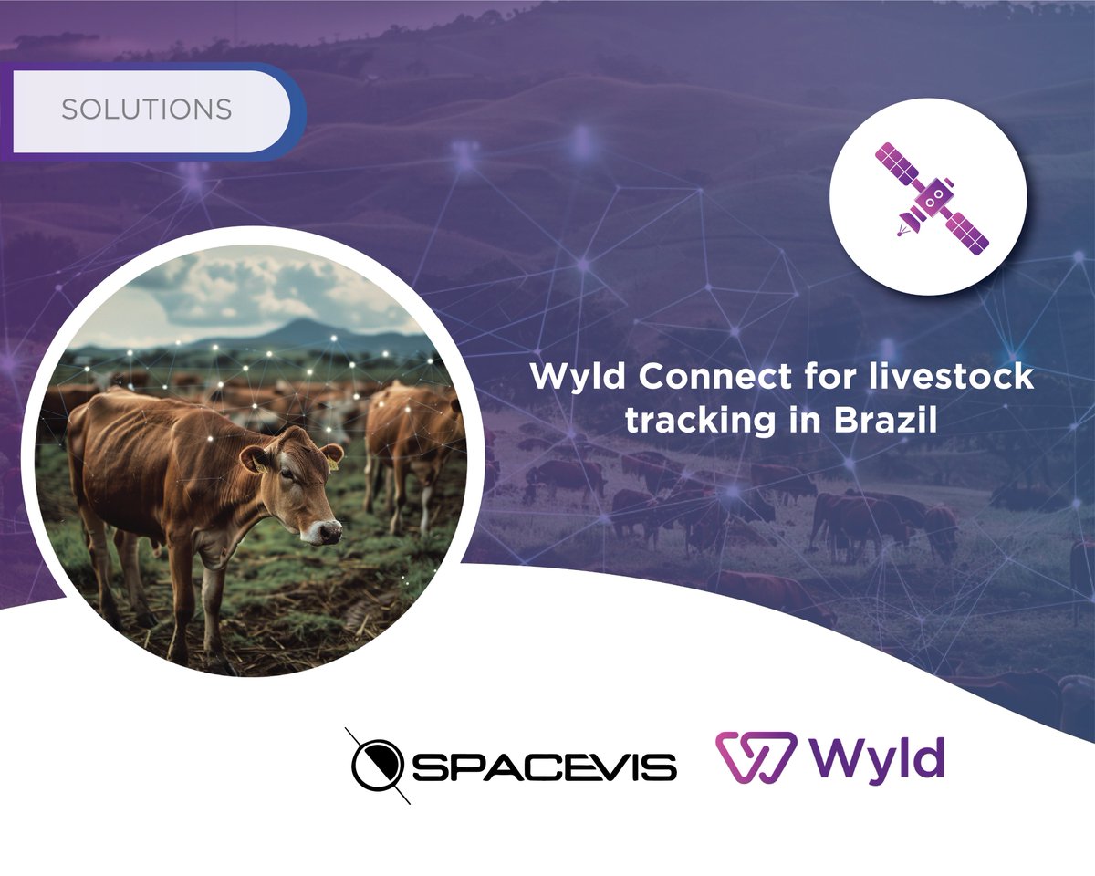 @WyldNetworks partners with Spacevis to deploy Wyld Connect for livestock tracking in Brazil. With SpaceVis's innovative solution and Wyld's satellite connectivity, we're set to revolutionise data management for Brazil's vast cattle industry. Read more: wyldnetworks.com:444/press-releases…