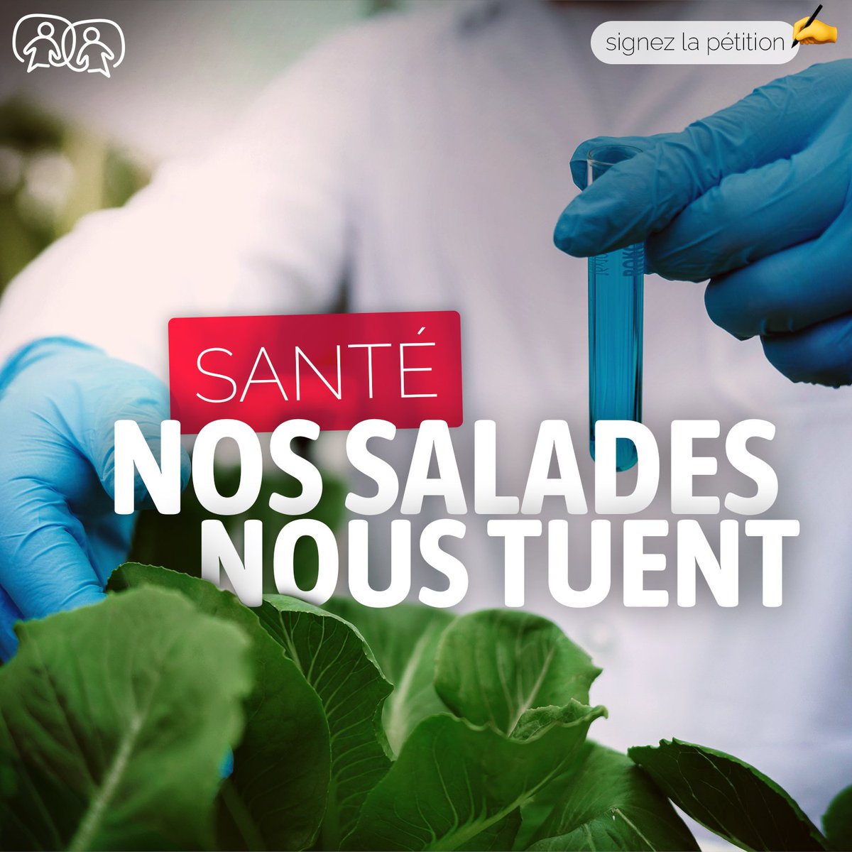 Benoît Grandvin, auteur d’une pétition signée par 18.000 personnes, nous interroge et nous met en garde sur la contamination massive de nos #salades relevée par une récente enquête de @60millions ➡️ mesops.com/StopPesticides ✍️