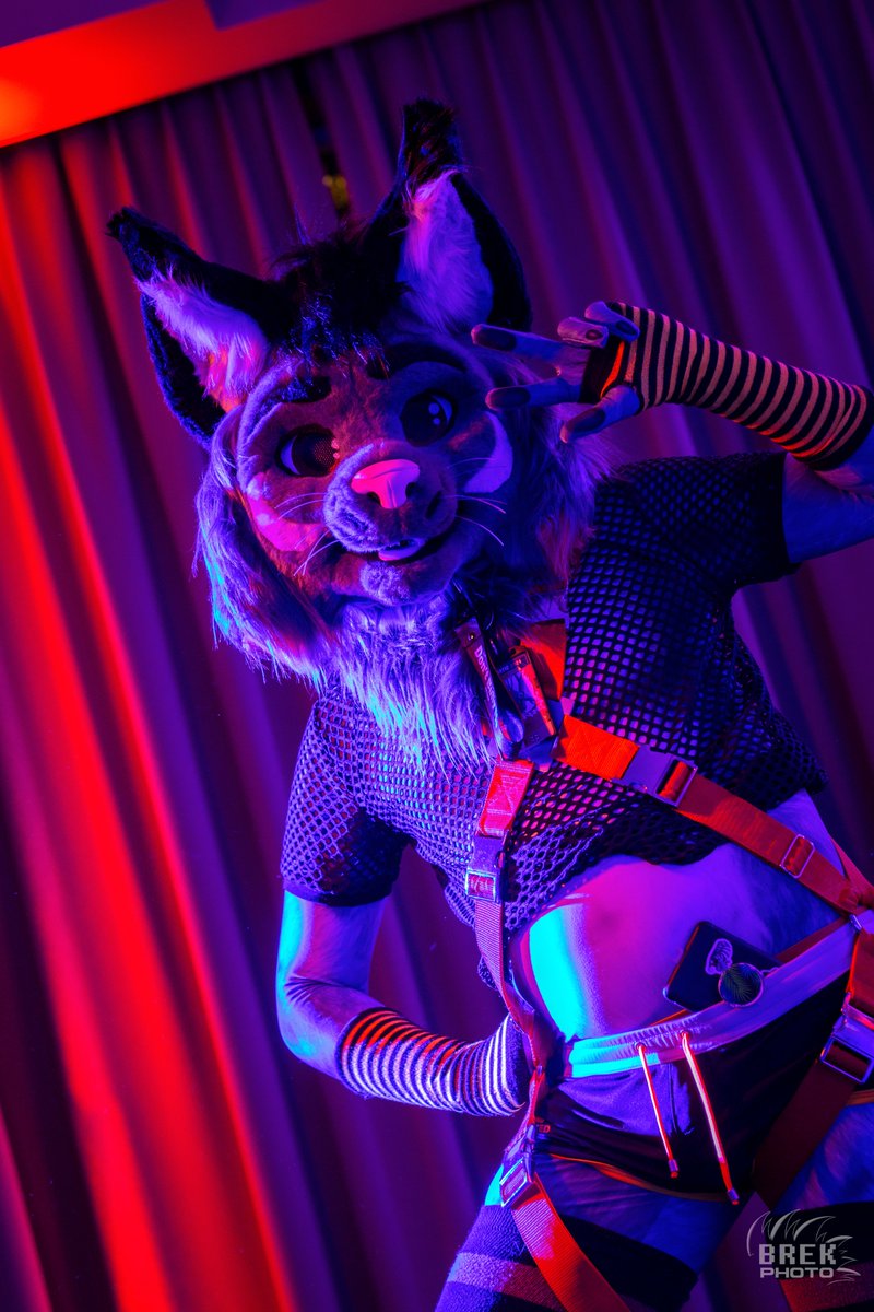 I want more late night gear to dance and tease with along petsuit <.< pic by @BreakWoofAD