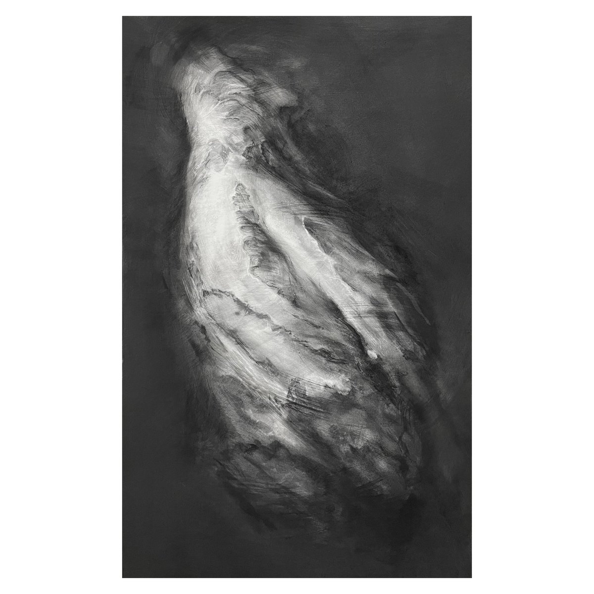 Just off the drawing board. I don't know what it's called yet but will most likely be something dynamic - there was a lot of energy to contain in this one. Untitled ghost 80x50cm Charcoal on canvas