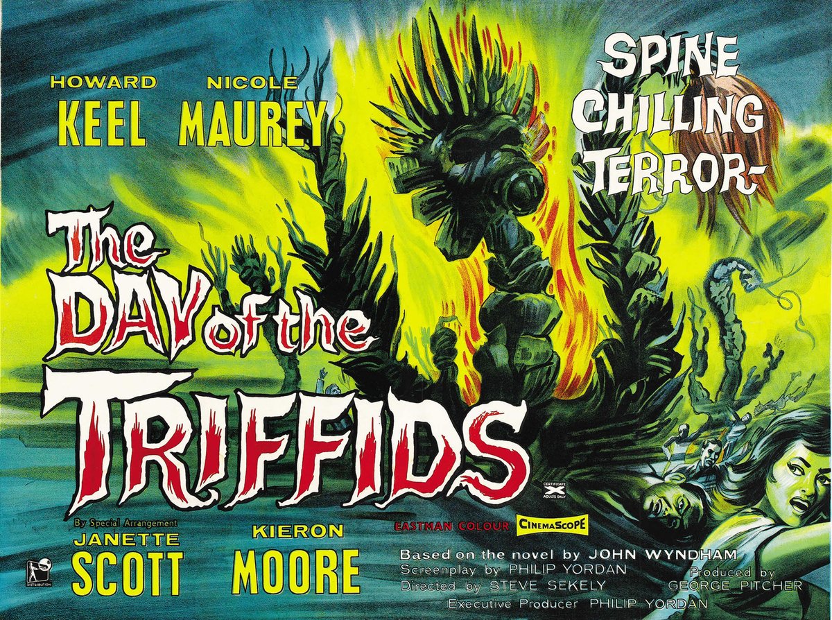 🎬 Dig this! In The Day of the Triffids Moore & Scott joined the cast last minute when they found out there were only 57 mins of usable footage! And the lighthouse scene? Just a cool add-on by Freddie Francis to keep the vibes flowing! 🌊✨ #MovieMagic #MovieTrivia #OffbeatCinema