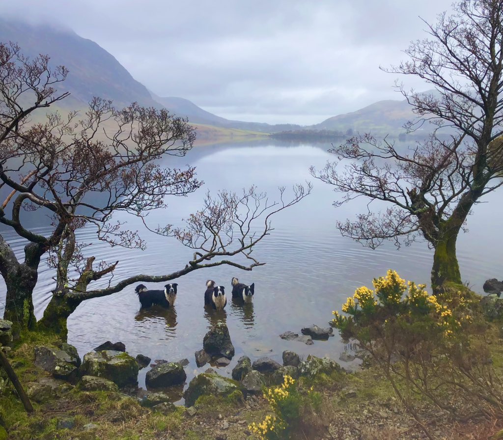 Around (& in!) Crummock Water today