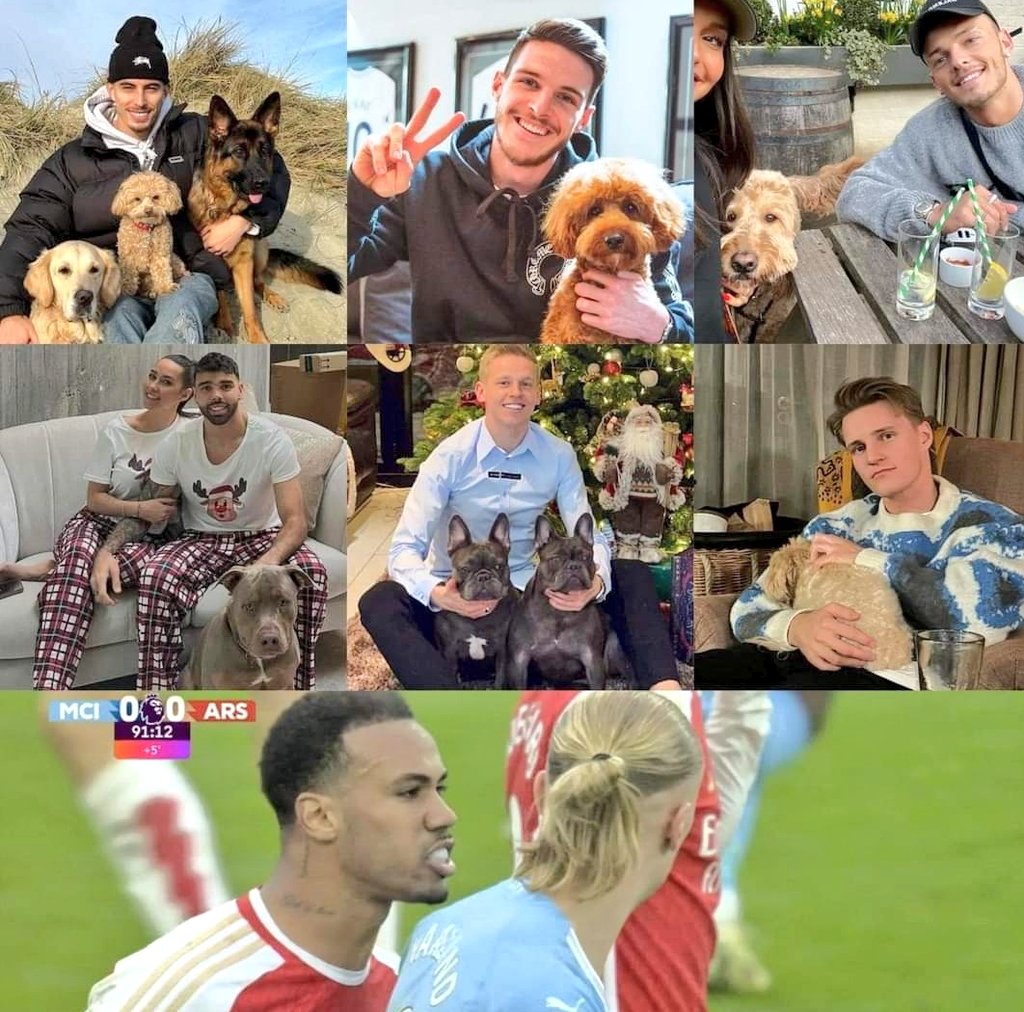 Gooner_70ns's tweet photo. Lovely collage of Arsenal players with their pets 😊 https://t.co/RdYzi5A2bq