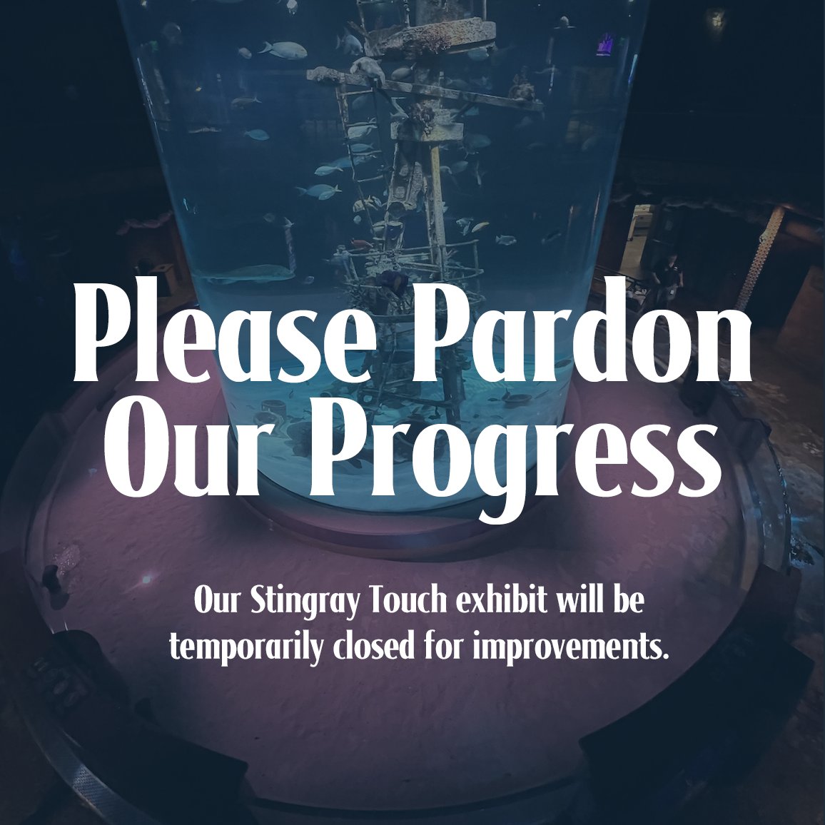 Beginning today, April 3, our Stingray Touch exhibit will be closed for improvements. The Virtual Aquarium will still be open! We always strive to improve the experience for guests while keeping our animals' wellbeing at the forefront. We apologize for any inconvenience.