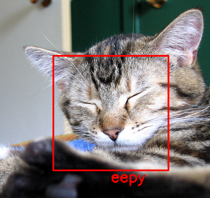 KiwiSoggy's tweet photo. thanks opencv, eepy has been detected https://t.co/BJRNzMj9o6