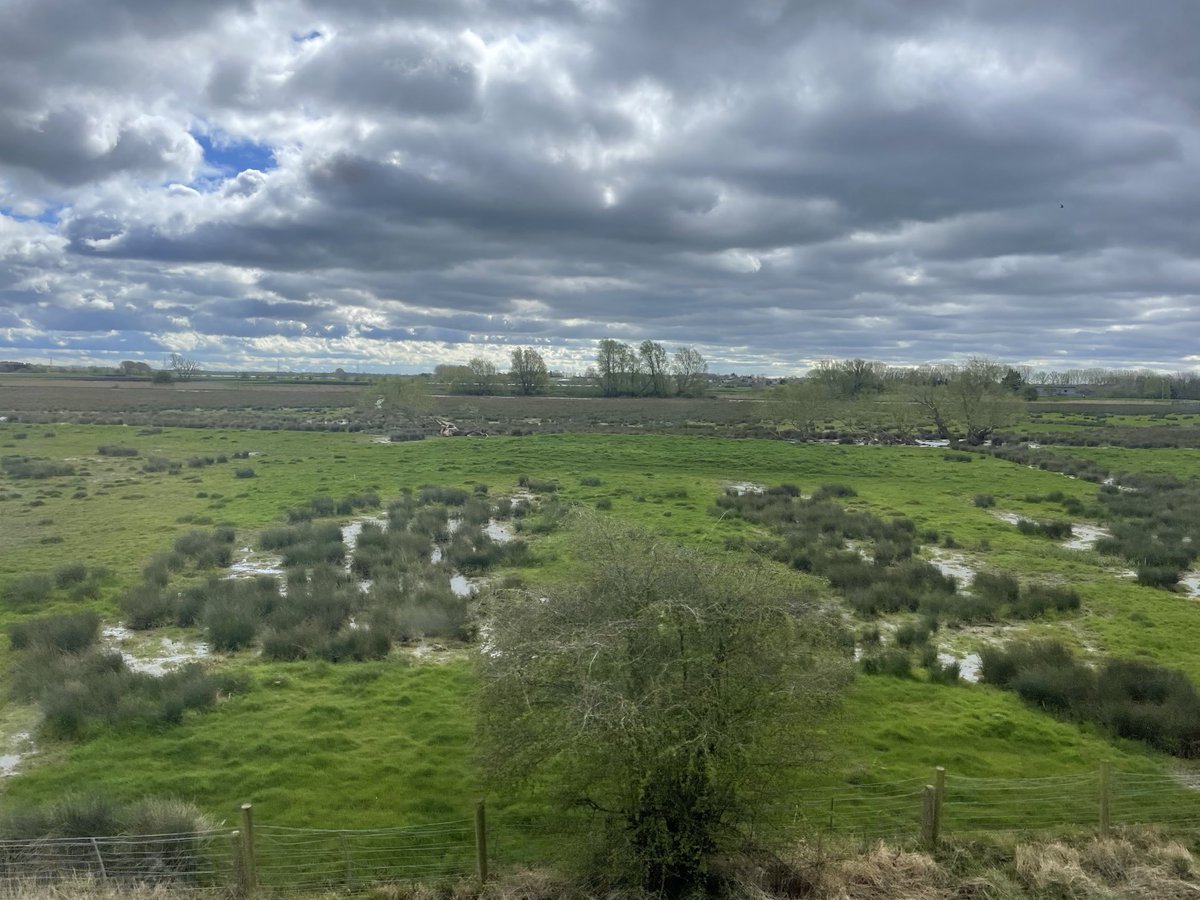 When I see wetland habitat like this from the train window I am uplifted, as I see a super-powered piece of our national infrastructure at work. Bursting with life as a flood busting, water purifying, mood lifting, nature boosting ecosystem. Anyone else see this?