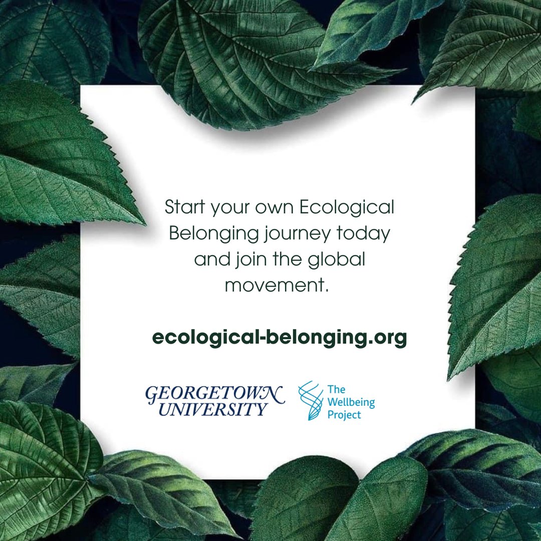 🌍 Join us in exploring the fundamental question: how do we live? At the core of The Wellbeing Project's newest venture, Ecological Belonging, lies a global movement to reconnect with each other and the Earth. 🌱 Discover more at ecological-belonging.org. #EcologicalBelonging