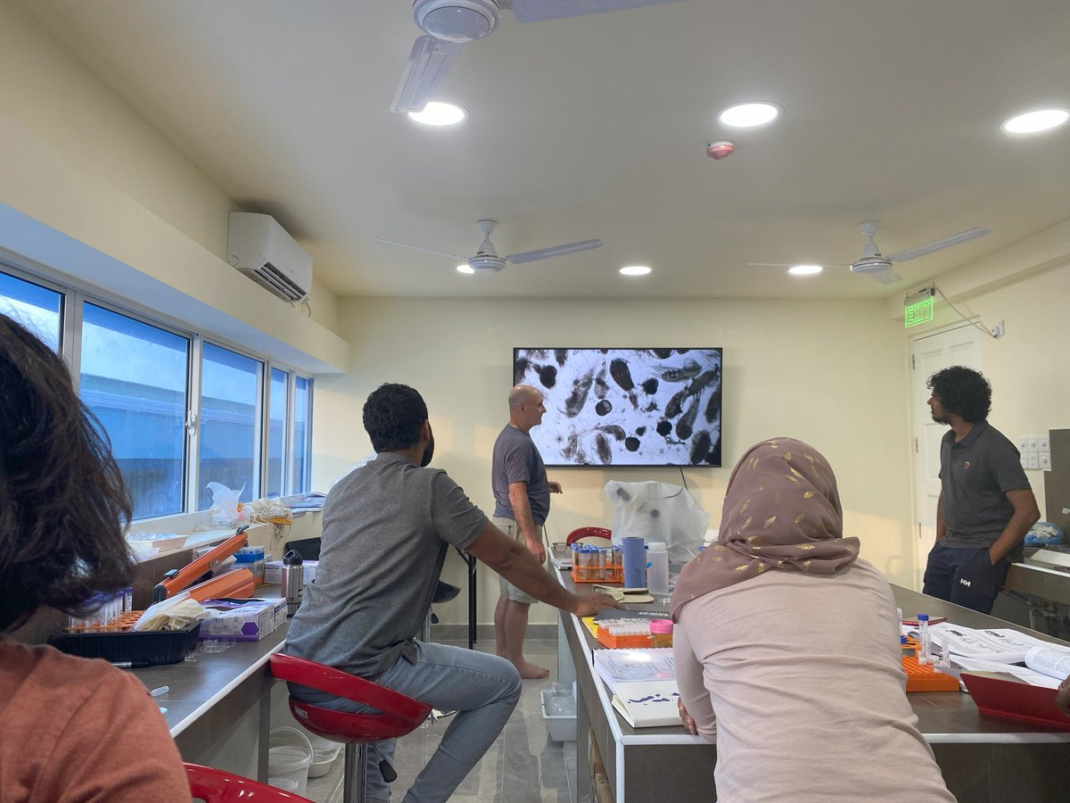 Don't forget - our Zooplankton Knowledge Exchange #Fellowship in partnership with @MMRI_Maldives is currently live 📢 Deadline: 18 April Find out more & apply now ✍🏽 nektonmission.org/news #Opportunity #MarineBiology #Conservation #OceanScience #NektonMission #MaldivesMission