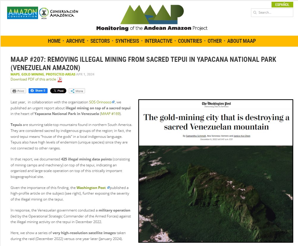 Removing llegal Mining from Sacred Tepui (Venezuelan Amazon) The good: Government responds to reports & removes illegal mining from tepui in Yapacana National Park The bad: Illegal mining continues in surrounding areas of the Park maaproject.org/2024/illegal-m… @ACA_DC,@SOSOrinoco