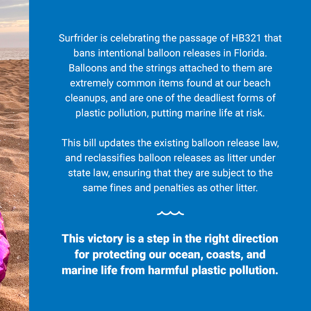 Victory! 🙌 Surfrider is celebrating the passage of HB321 that bans intentional balloon releases in Florida. 🎈 This victory is a step in the right direction for protecting our ocean, coasts, and marine life from harmful plastic pollution. Learn more: hubs.la/Q02rHSQR0