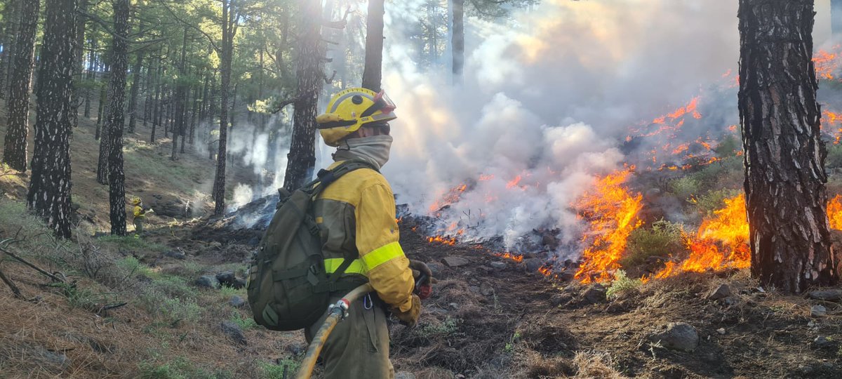 @BrifPuntagorda continua aprovechando la ventana de quema, y realizar quemas prescritas en el plan de quemas el reventon (término municipal de Puntagorda) 1,06.ha. Objetivo: prevención de incendios. Segundo día de quema 👨🏻‍🚒🚒🔥