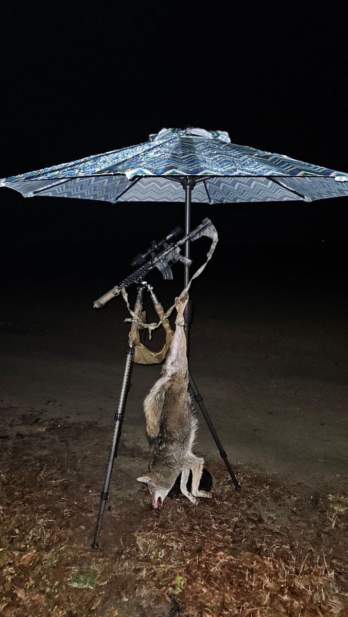 RixrixNV's tweet image. Hunting coyotes in the rain is a picnic for Aaron Warner and Rix Optics. We hope you're not in trouble for repurposing the umbrella, Aaron. What have you, "repurposed" to kill more coyotes?

rixoptics.com