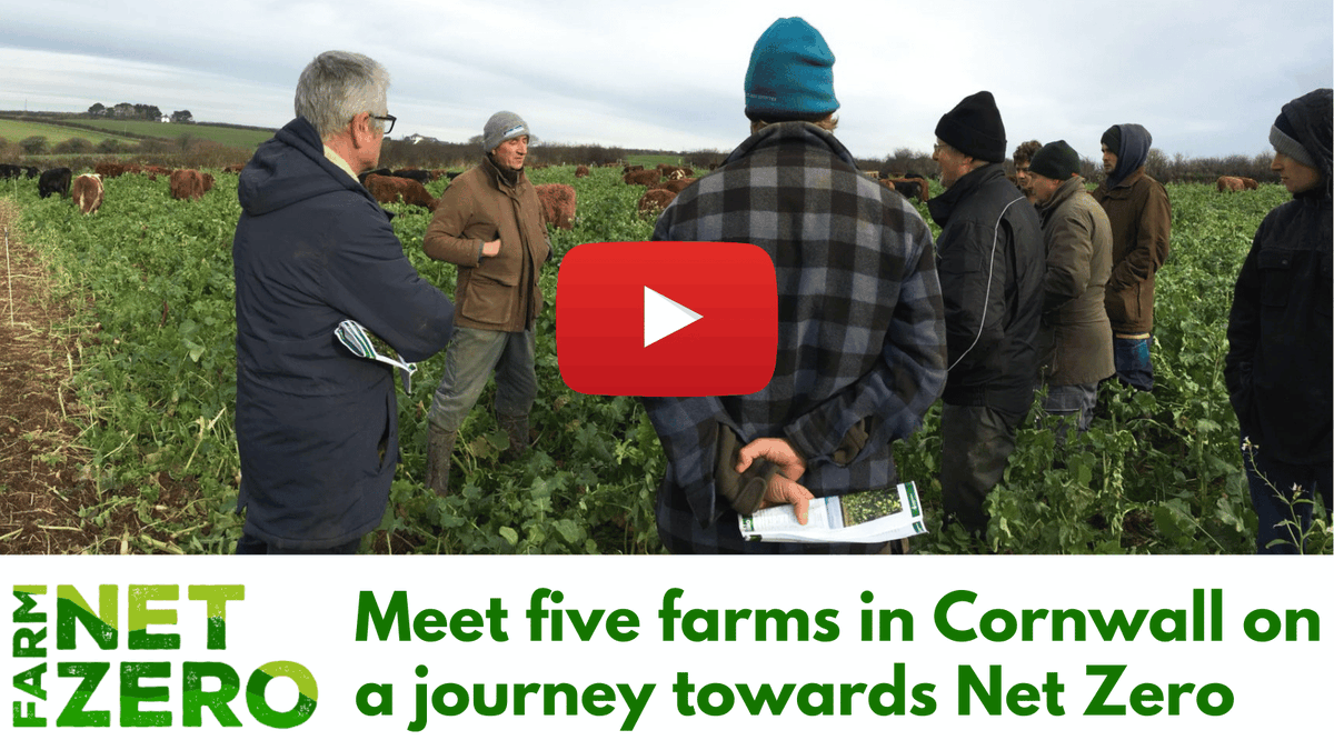 Farmers across #Cornwall are aiming for #NetZero. Watch these FIVE inspiring new #FarmNetZero films about farmers who are working hard to produce nutritious food, improve the environment, and respond to climate change. Watch them here👇 farmcarbontoolkit.org.uk/2024/01/18/fiv…… #soil #soilhealth