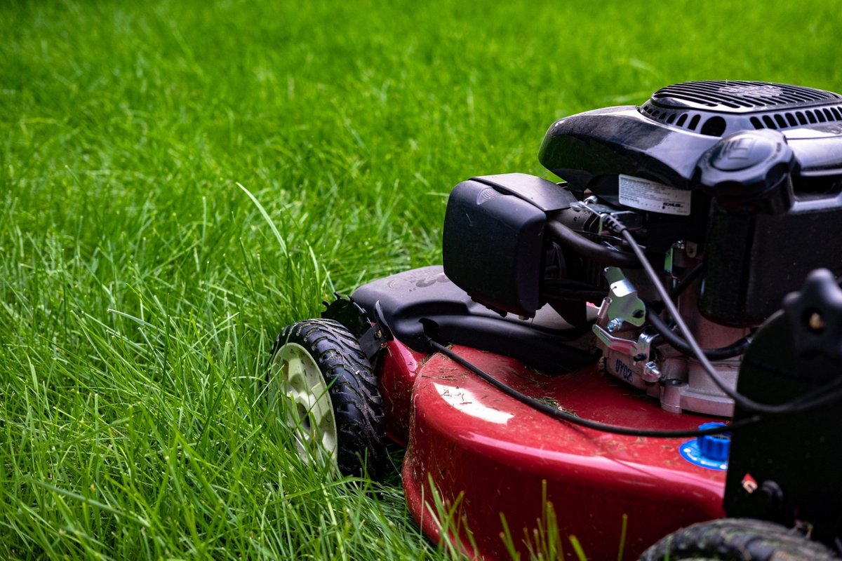 Kris Kiser, President and CEO of the TurfMutt Foundation joins the Steve Cochran Show to answer your lawn prep questions, from prepping soil to how to protect your lawn from critters. buff.ly/3TXMUpi