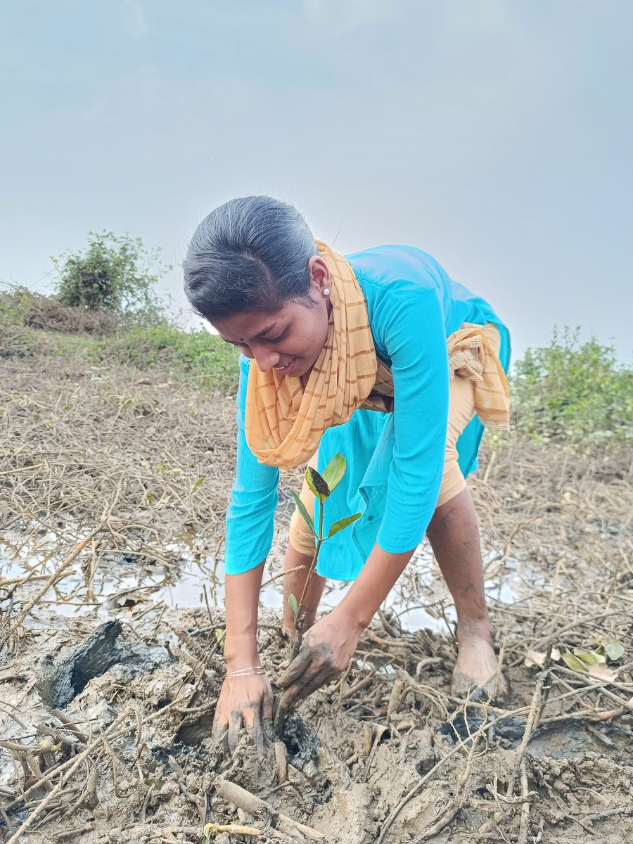 itsBiswajeet's tweet photo. #YouthForMangroves
#Paradeep

@CollectorJspur @dfomangrovefdwl 
@MangroveProject @DShaw_Mangrove @krishna_mangrov @mangrove_voice @MangroveForest @DharitriLive1 @SatpathyLive @AdyashaSatpath3 @AdhikariBN @moefcc @PradeepJenaIAS @CEEWIndia @UN_Women @pplindialtd @LTIMindtreeOFCL https://t.co/GrwJhGv0Tg