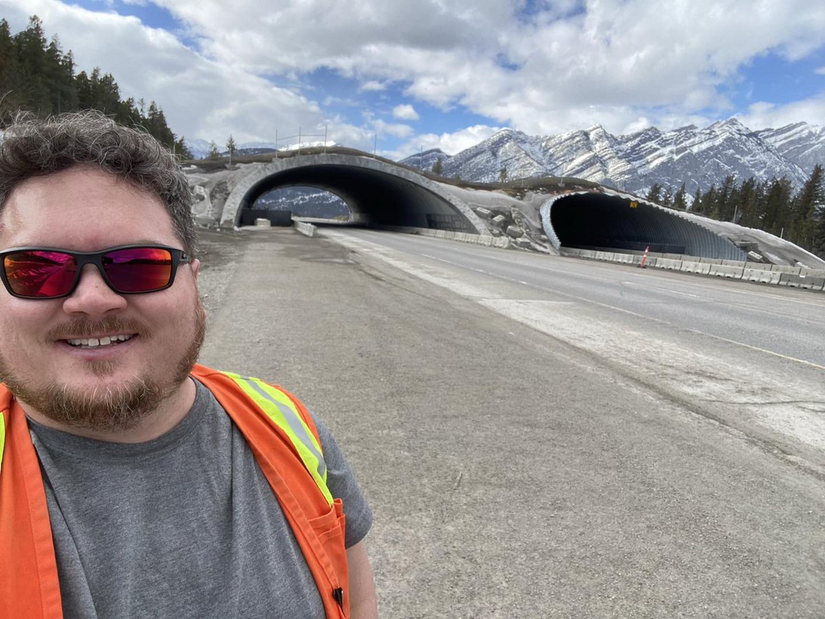 This is one of the proudest achievements of my career. This is a wildlife bridge allowing animals to safely cross highway 1 east of Canmore. It took a team but man oh man am I ever proud to have lead one of the teams that made this possible.