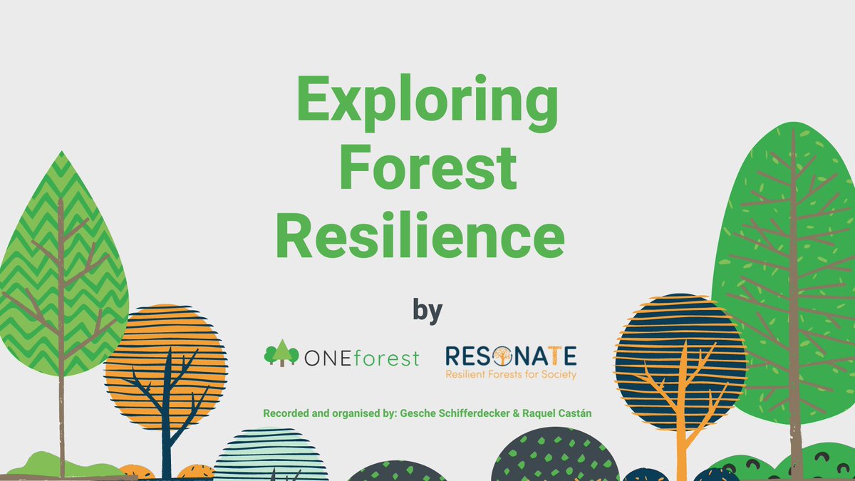 🌲Join us at #ONEforestFinalEvent to meet @RESONATE_forest, our sister project. Together, we're co-organising the #ExploringForestResilience webinar series, sharing invaluable insights. 📺Watch here: youtube.com/watch?v=V4bldN… #INNOVAForONE #EUforest #H2020