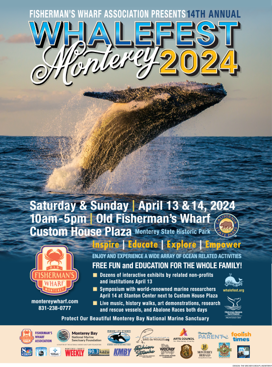 Calling all Dolphin Defenders in Monterey, CA 🐬🌊 Saturday April 13th, Dolphin Project will be tabling at Whale Fest in Monterey. Hope to see you there!