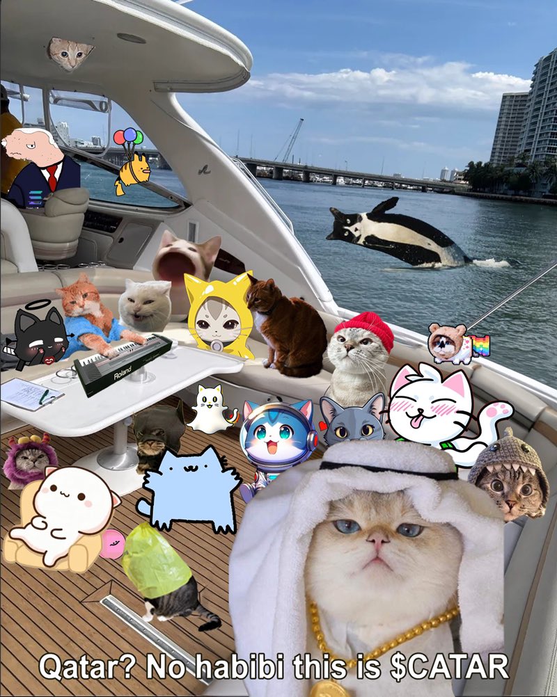 CatarOnSolana's tweet photo. @TyrogueD @notsofast https://t.co/SSxavygmiQ