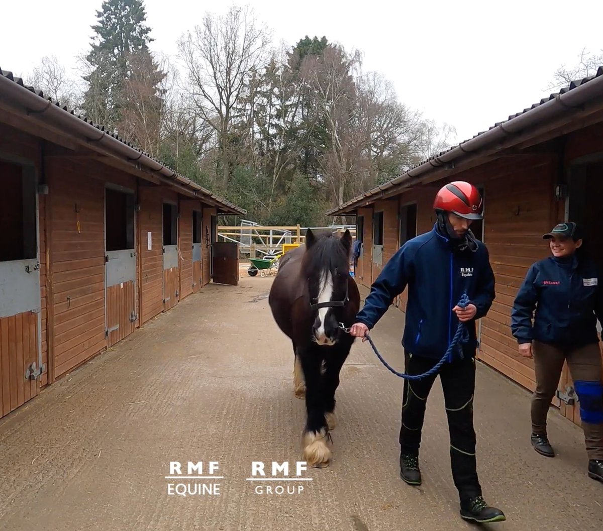 ✨ Learn with ease and gain new experiences. RMF have FREE training courses for anyone interested in horses and caring for horses. Call 0121 440 7970 or email enquiries@rmftraining.co.uk for more details and enrolment. #HorseLife #WestMidlands