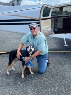 Pilot John flew Hunter from Wellington to Simply Grace Rescue in Lake City, FL✈️Thank you, Pilot John, rescuers Candas & Nancy, coordinator Liz & Cathy & transporter Teagan for saving this very good boy. Hunter is grateful to have a chance at life because of you 💕 #pilotsnpaws