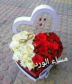 ع الجميع ♥️