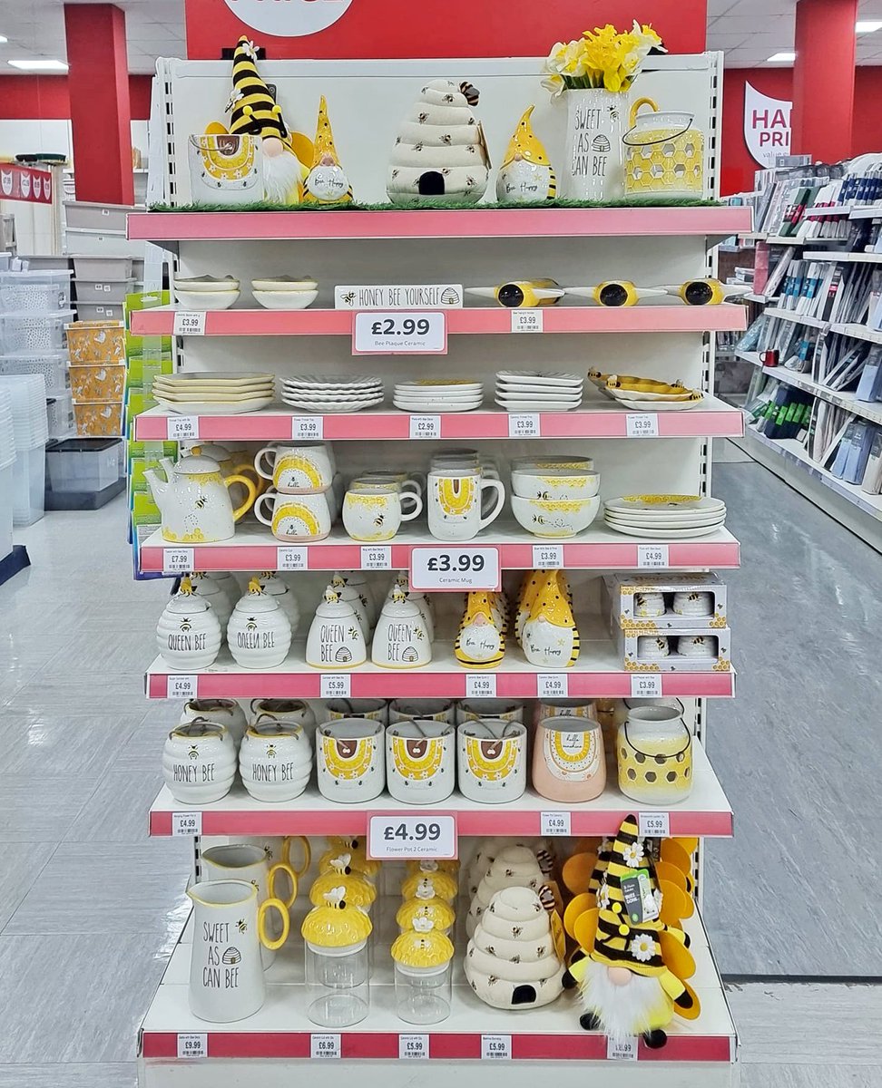 Have you seen our latest BEE-autiful home collection!?🐝💛

Featuring all the perfect little touches that add to your space - from planters and storage jars to mugs and tea towels. You might even find a gonk or two too!

🐝 Prices start from just £2.99