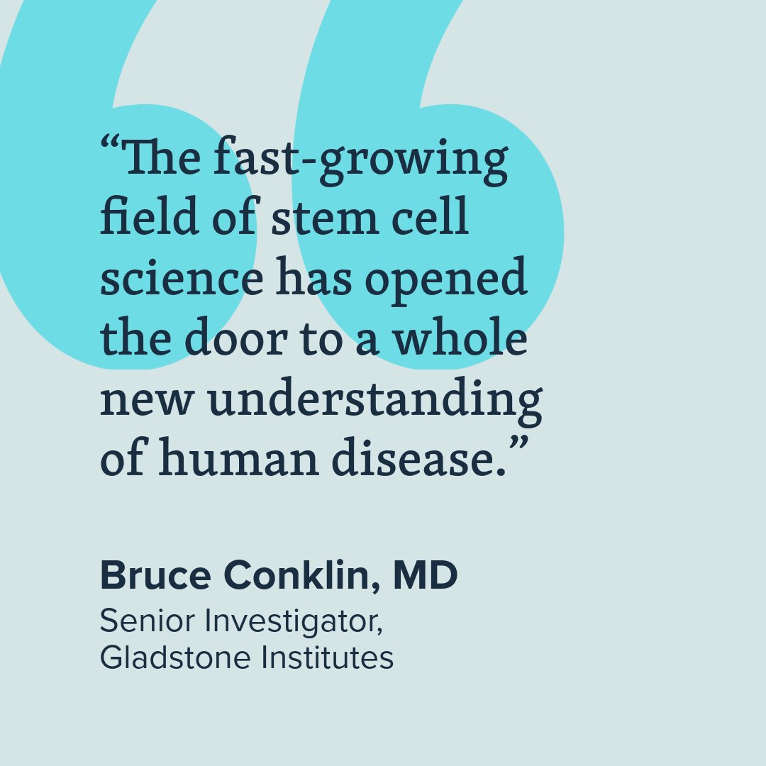 Funds from the California Institute for Regenerative Medicine will allow Gladstone to bolster its disease-modeling technologies, add robust #CRISPR screening capabilities, and educate young researchers on the latest in stem cell science. Read more ➡️ bit.ly/3TxDH5N