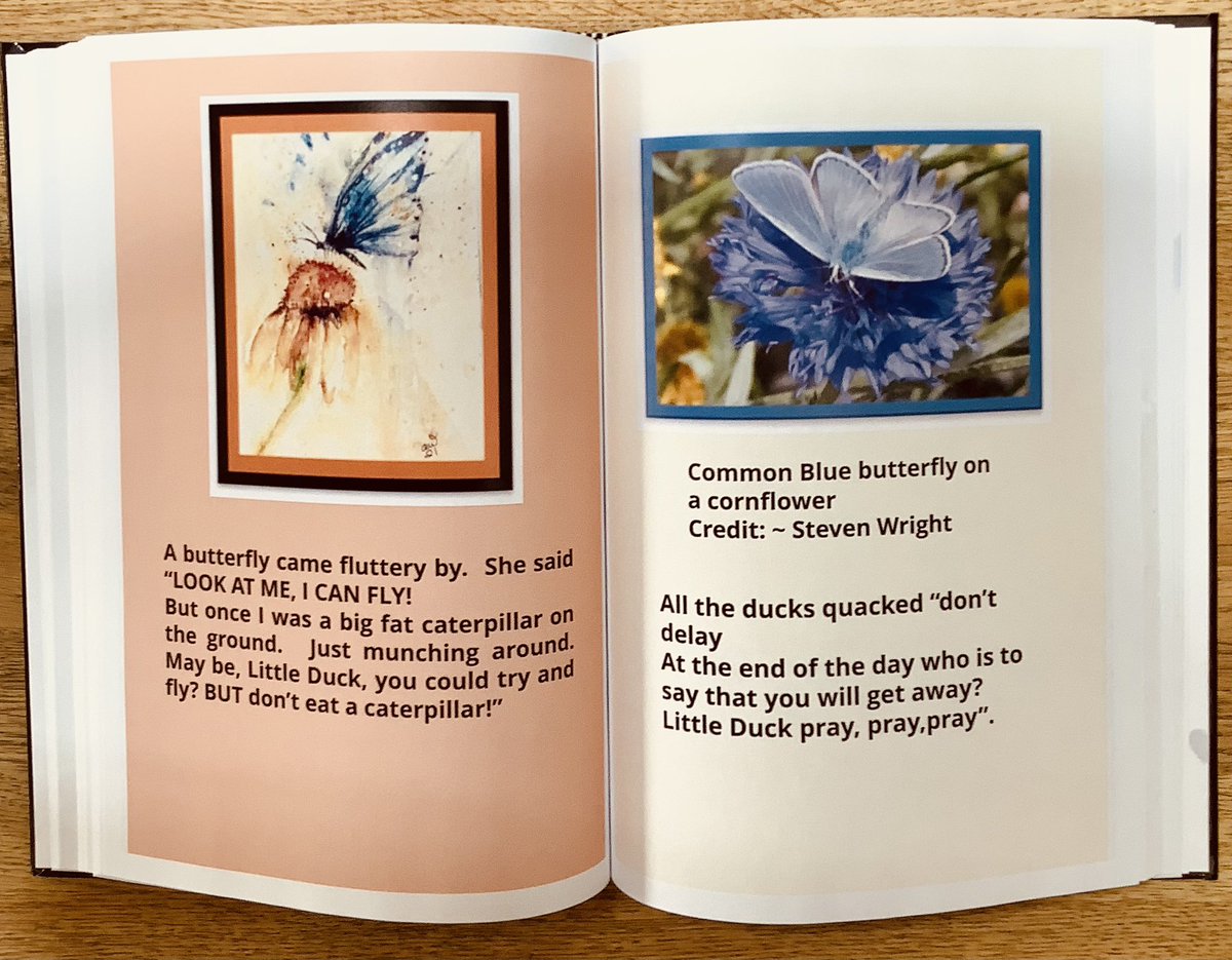 Some excellent artists and photographers work in my Little Duck Lost book 🙏🐣@StevenW33436788 @dogdoughty @CarlBovisNature @ArtMutuals @artismythingy @Thewryneck @JLPhotos83 @AWatercolour @wilder_action @WildHaweswater @RoppityPhotos On Amazon amazon.co.uk/Little-Duck-Lo…