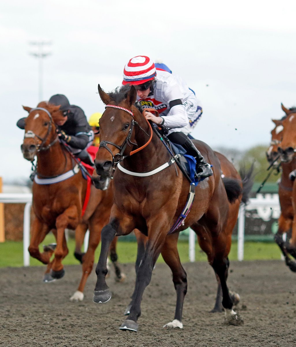 🙌 Brioni sheds his maiden tag in style for Alan King & @Rossaryan15 at @kemptonparkrace, bought by @agentbloodstock for 130,000gns from @TheBloodstockC at the #TattsCraven Breeze Up. @DiegoDiasracing will consign his Hello Youmzain ½-brother on behalf of @starbloodstock at…