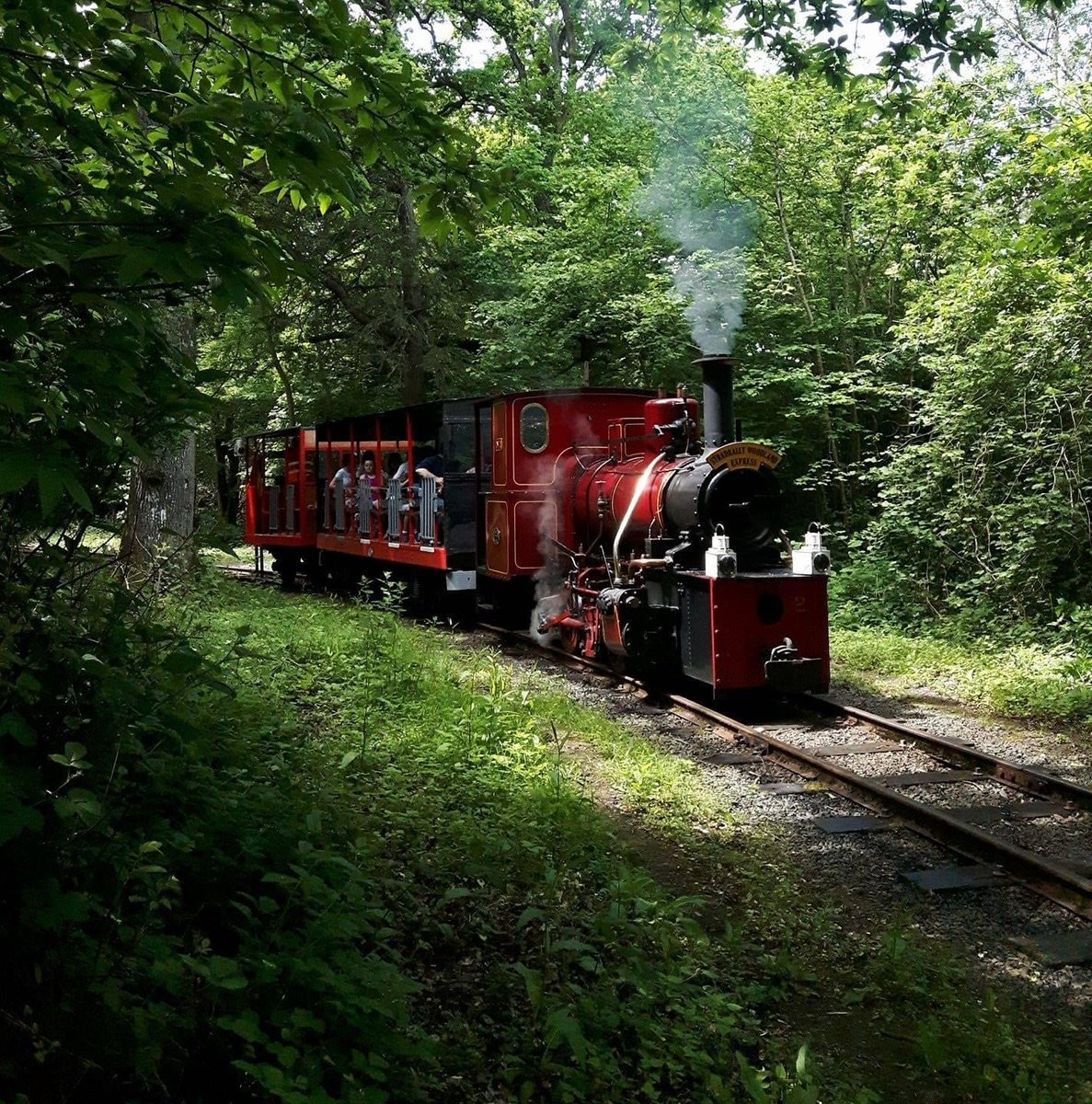 Photo of the day📸 From volunteer @seaniecain, Róisín pulls a passenger train through the woods in the summer of 2019 🚂 Experience this for yourself at the May bank holiday weekend, Sun 5th & Mon 6th 🛤 See irishsteam.net for all the details 🎟 Powered by @ArignaFuels🔥