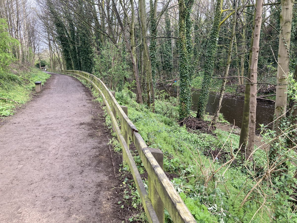 We were back on the path by Salmon Pastures on today’s @RiverStewards session. 70% chance of rain all day - but that’s also a 30% chance of no rain for the ‘Loopers 😁. + we did see some sun! A kinda ‘glass half full’ day for the Blue Loop volunteers😎 @RiverStewards @sheffieldis